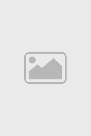《太爷驾到，孝子贤孙来报到》宣传海报